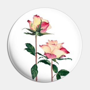 Watercolor yellow roses Pin