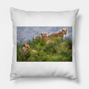 Young Lions Pillow