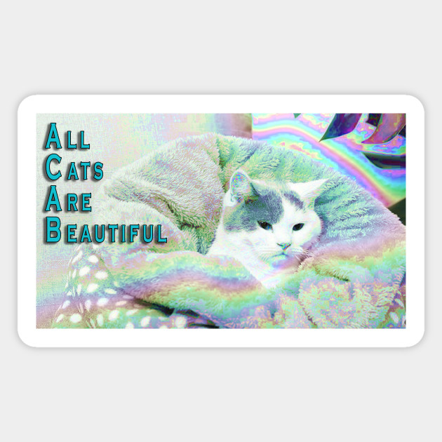 All Cats Are Beautiful Protest Sticker Teepublic