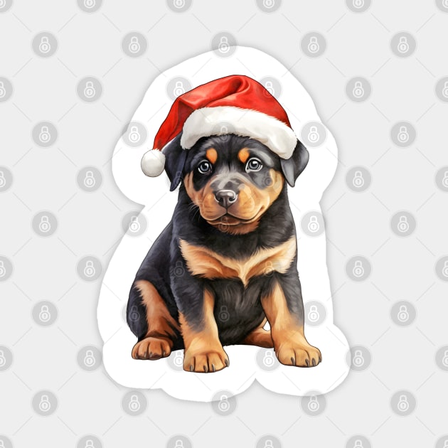 Rottweiler Dog in Santa Hat Magnet by Chromatic Fusion Studio