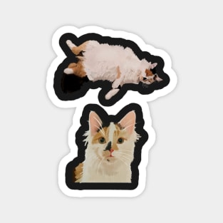 Calico Kitty Magnet