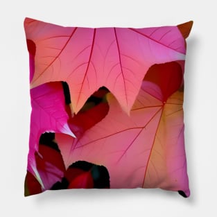 Pink Color Autumn Leaves Background Digital Illustration Art Pillow