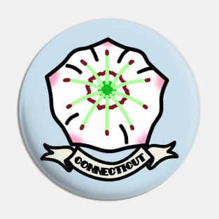 Connecticut Pin