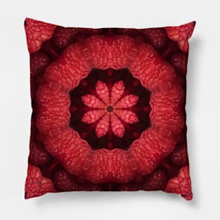 Resplendent Raspberry Kaleidoscope Pillow