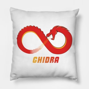 Ghidra Tool for Reverse Engineering Pillow