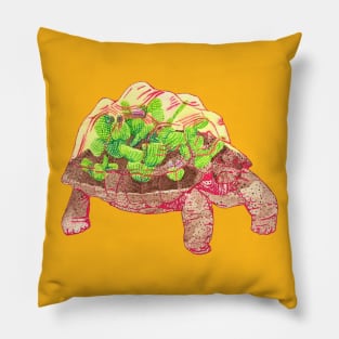 Tortoise Terrarium Pillow