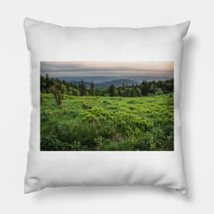 Mountain meadow Pillow