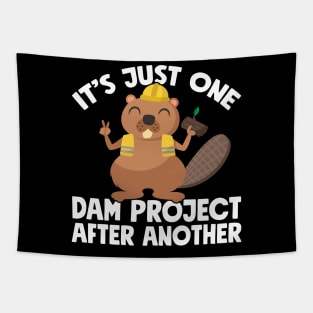 It's just one dam project after another Tapestry