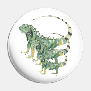 Iguanas design Pin