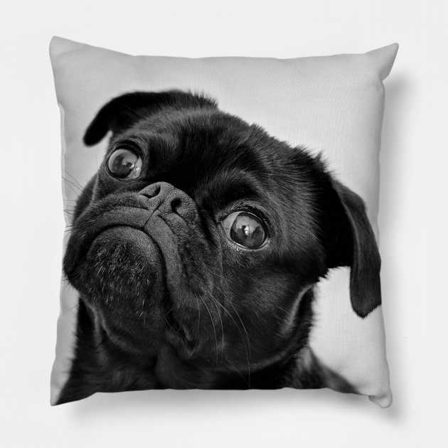 Cute Puppy designs Pillow by Dankod1