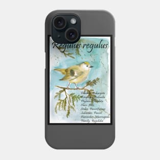 Kinglet Phone Case