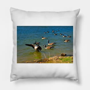 Geese Sitting on Lake Pillow