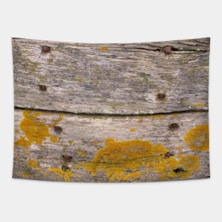 Golden Lichen on weathered wood Tapestry