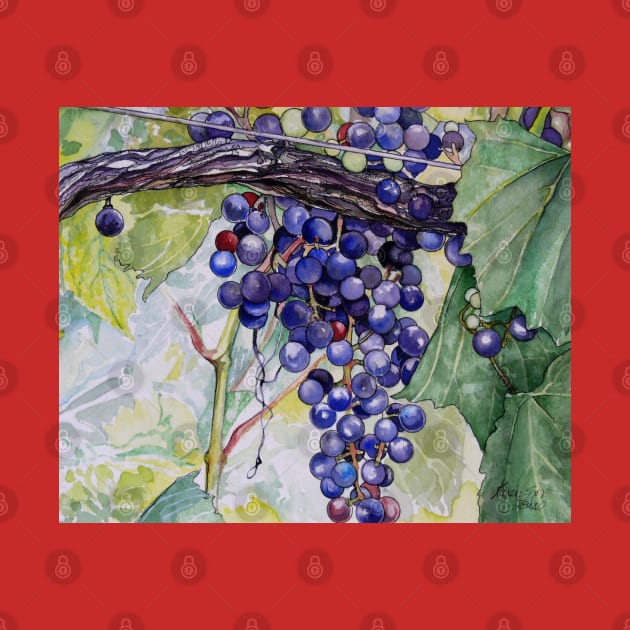 Grapes by Zodiart