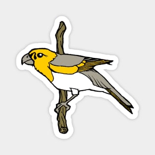 Hawaiian Palila Bird Magnet