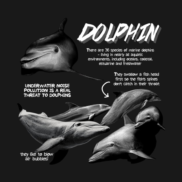 Dolphin Fun Facts by Animal Facts and Trivias