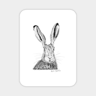 Field Hare Drawing Magnet