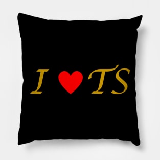 I LOVE TS Pillow