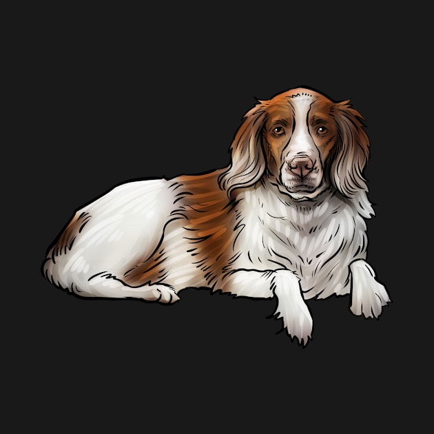 Brittany Spaniel Dog by whyitsme