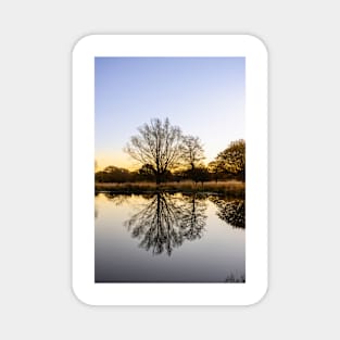 Richmond Park Sunrise Over White Ash Pond Magnet