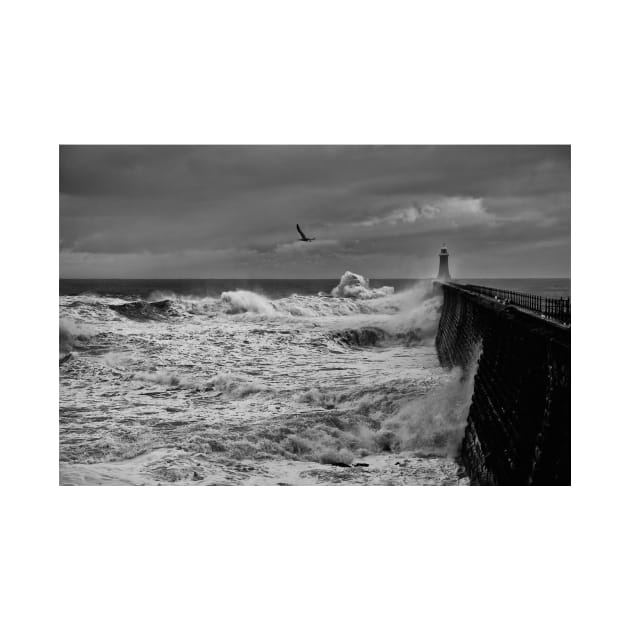 Stormy weather at Tynemouth Pier - Monochrome by Violaman