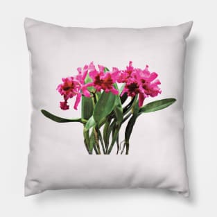 Orchid Chorus Line Pillow