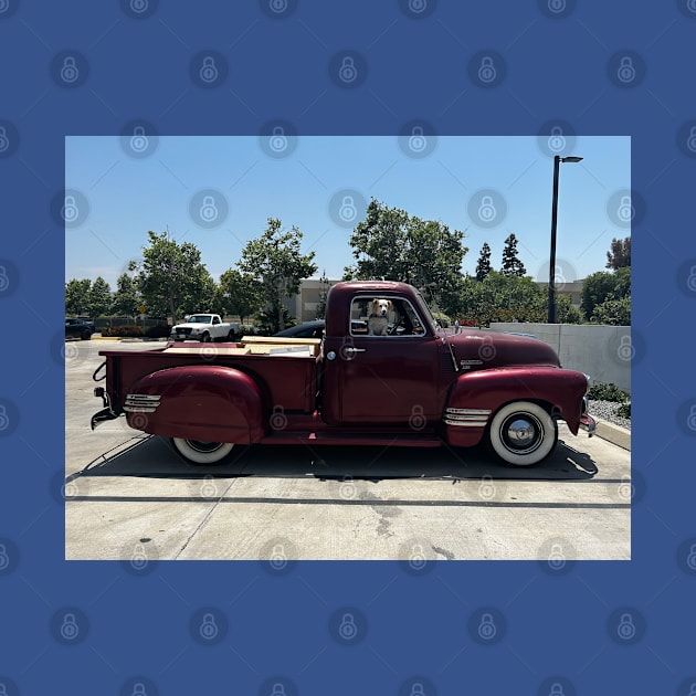 1949 Chevy 3100 by Nenas60