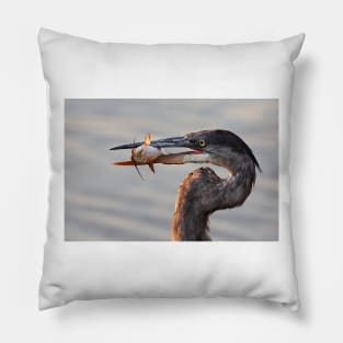 A fresh catch - Great Blue Heron Pillow