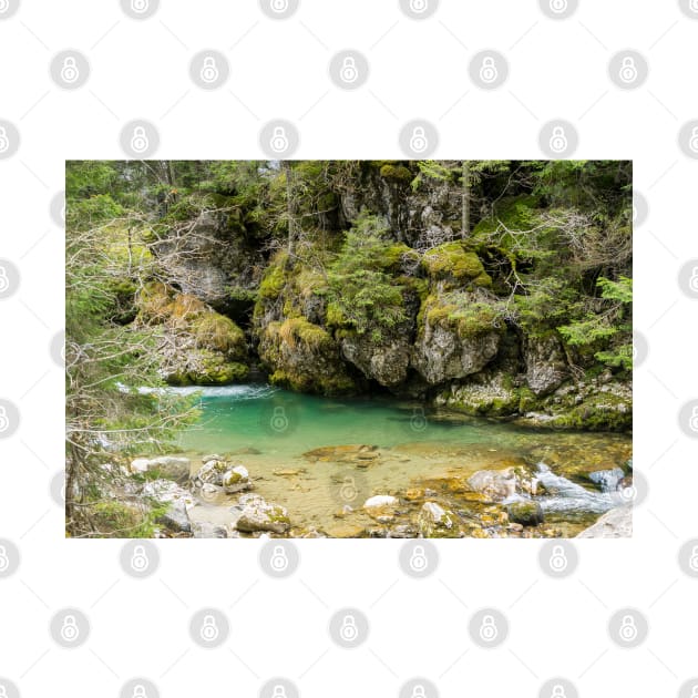 Fast river near forest in Bucegi mountains, Romania by NxtArt