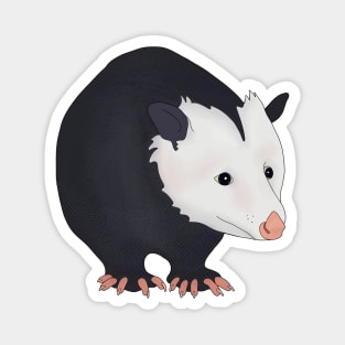 Adorable Opossum Magnet