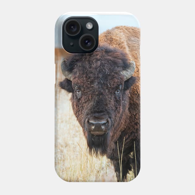 Bison Phone Case by StacyWhite