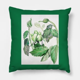 Green Rose Pillow