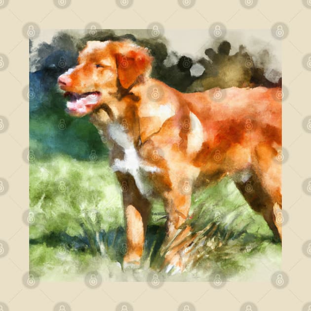 Nova Scotia Duck Tolling Retriever Watercolor - Dog Lover Gifts by Edd Paint Something