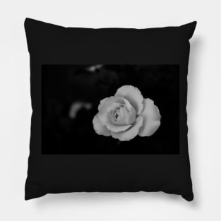 single white rose blossom in black and white Pillow