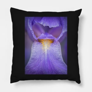 Purple Bearded Iris Close-up Pillow