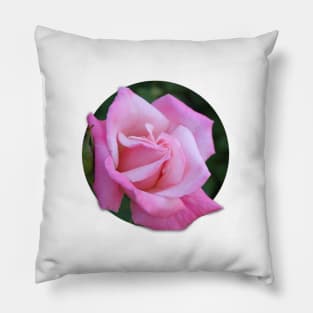 Pink Rose Pillow