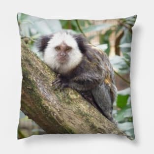 White Faced Marmoset Pillow