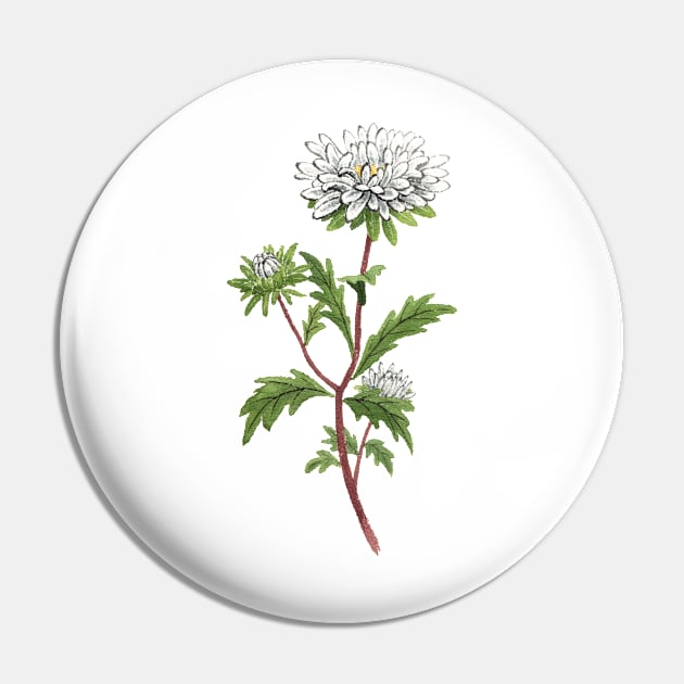 September 10th birthday flower Pin by birthflower