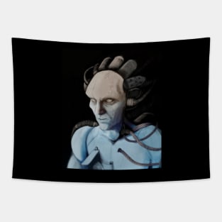 DiMA Tapestry