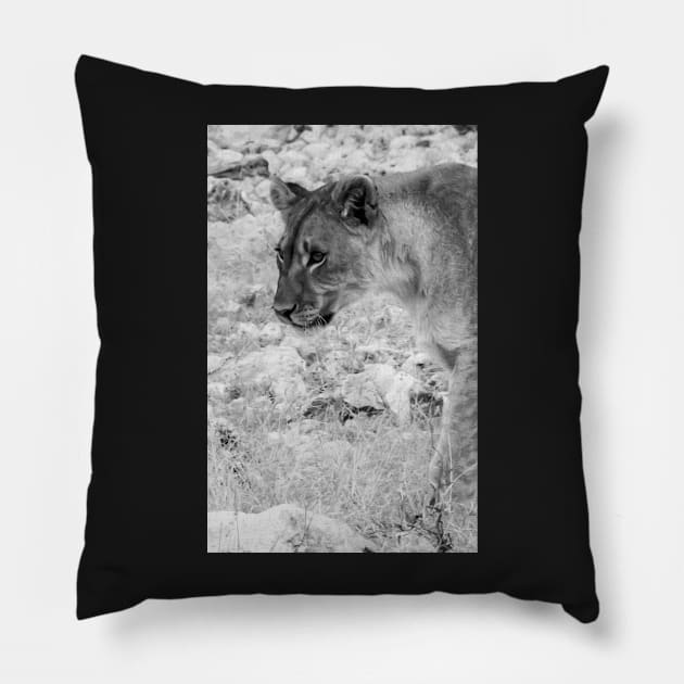 Lion head. Pillow by sma1050