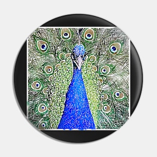 Peacock in Glory Pin