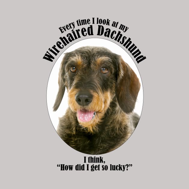 Lucky Wirehaired Dachshund by You Had Me At Woof