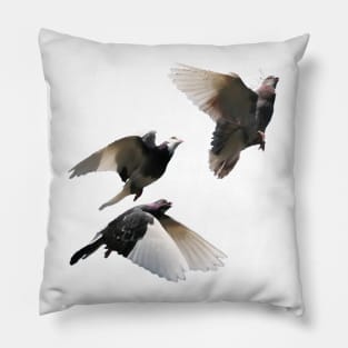 Rock Doves in Flight Pillow