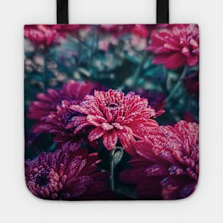 Crimson Chrysanthemums in the morning Tote