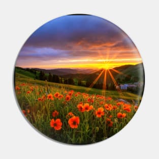 Beautiful landscap flowers and sunset Pin