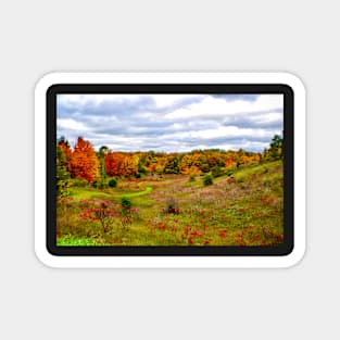 "Autumn Valley" Magnet