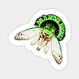 I AM A SPACE ROCKET! Emerald-green dragonflies decorations cicade fly glow bugs Magnet