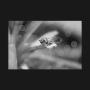 Cicada on Pineapple Tree in Summer Light in Black and White T-Shirt