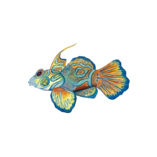 Dragonet Fish T-Shirt