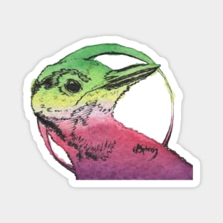 Genderfae Watercolour Woodpecker | Pride Bird Magnet